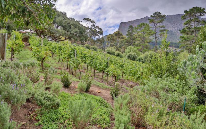 5 Bedroom Property for Sale in Hout Bay Western Cape